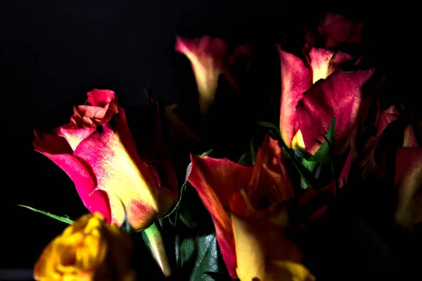 Bouquet Orange Streaked Yellow Roses Red Roses Black Backdrop — Stock Photo, Image