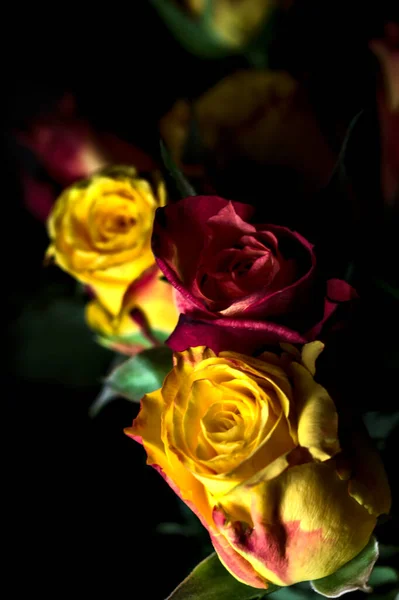 Bouquet Orange Streaked Yellow Roses Red Roses Black Backdrop — Stock Photo, Image