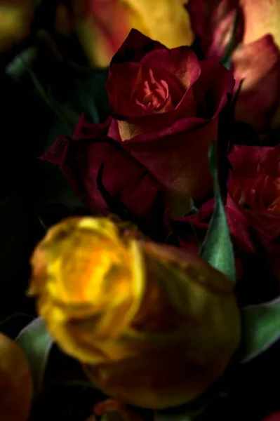 Ramo Rosas Amarillas Rayadas Color Naranja Rosas Rojas Sobre Fondo — Foto de Stock