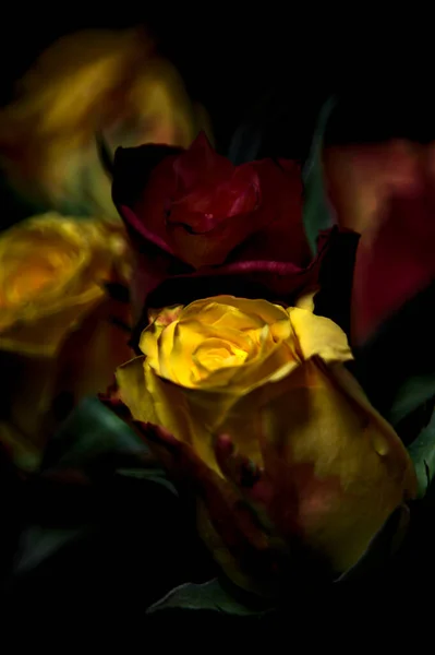 Bouquet Orange Streaked Yellow Roses Red Roses Black Backdrop — Stock Photo, Image