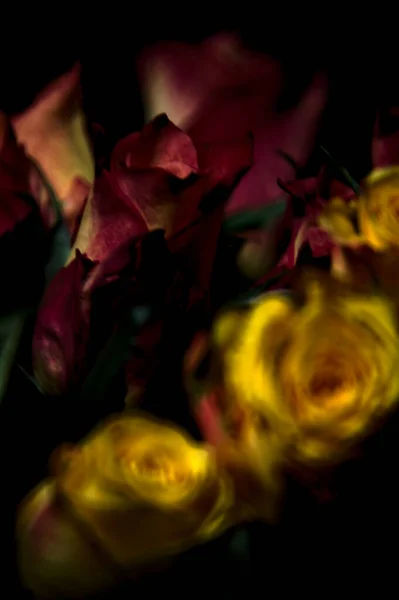 Buquê Rosas Amarelas Listradas Laranja Rosas Vermelhas Fundo Preto — Fotografia de Stock