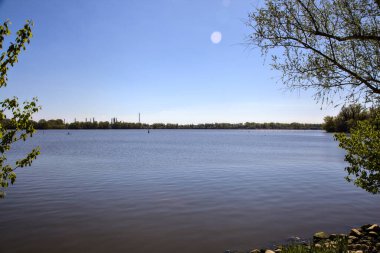 Açık bir baharda ağaçlarla çevrili bir göl.