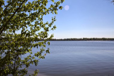 Açık bir baharda ağaçlarla çevrili bir göl.