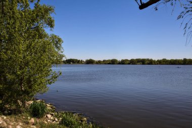 Açık bir baharda ağaçlarla çevrili bir göl.