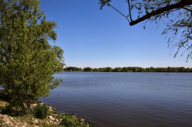 Açık bir baharda ağaçlarla çevrili bir göl.