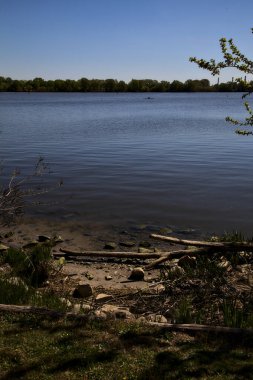 Açık bir baharda ağaçlarla çevrili bir göl.