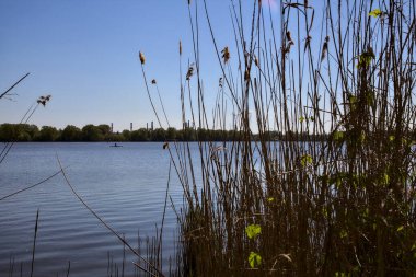 Bahar mevsiminde açık bir günde, bastonlarla çevrili bir göl.