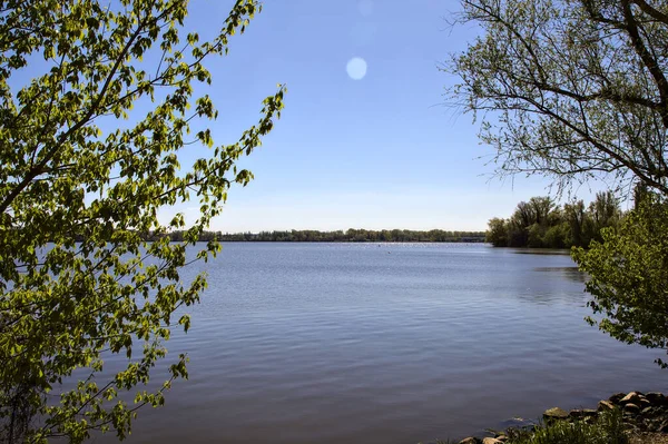 春天里清澈的湖水 笼罩着树木 — 图库照片