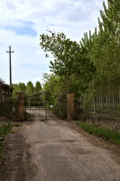 Zufahrtsstraße Einem Verlassenen Landhaus Einem Bewölkten Tag — Stockfoto