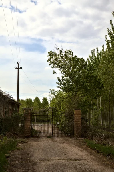 Estrada Acesso Uma Casa Campo Abandonada Num Dia Nublado — Fotografia de Stock