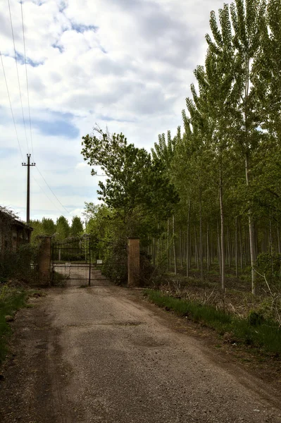 Bulutlu Bir Günde Terk Edilmiş Bir Kır Evine Giden Yol — Stok fotoğraf