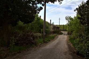 Bulutlu bir günde terk edilmiş bir kır evine giden yol