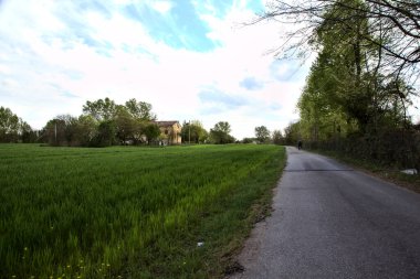 Narrow road in the in italian countryside in spring