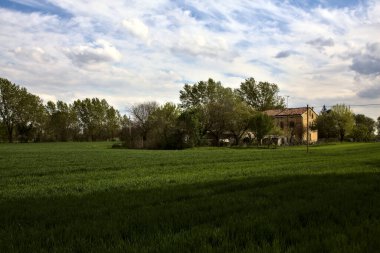 Country house in a field in spring in the italian countryside