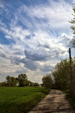 Narrow road in the in italian countryside in spring