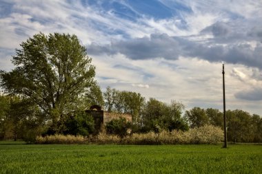 Abandoned house surrounded by bushes and a tree seen from the distance in the italian countryside in spring