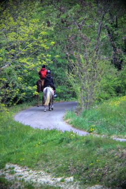 People riding horses on a road on the hillside in Italy on a rainy day in spring