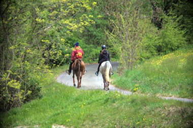 People riding horses on a road on the hillside in Italy on a rainy day in spring