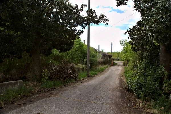 Strada Accesso Una Casa Campagna Abbandonata Una Giornata Nuvolosa — Foto Stock