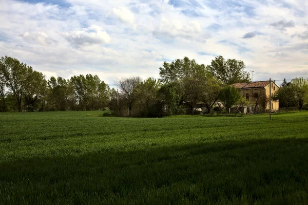 Country House Field Spring Italian Countryside —  Fotos de Stock