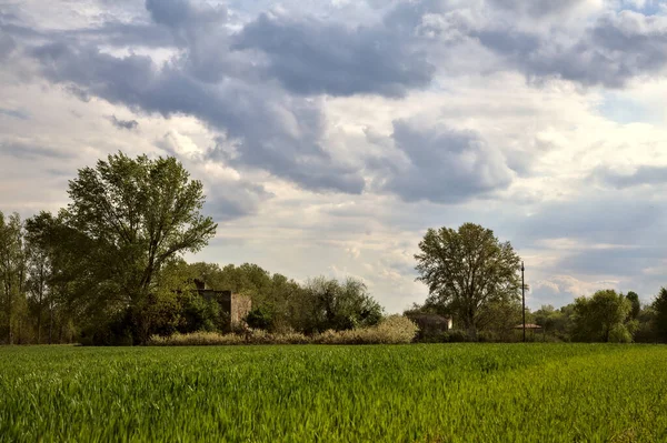 Abandoned House Surrounded Bushes Tree Seen Distance Italian Countryside Spring — Stok fotoğraf