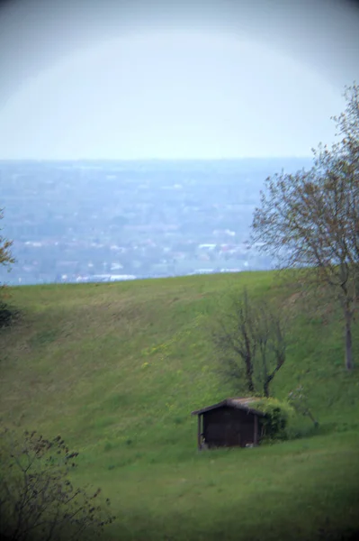 Holzbude Auf Einem Feld Hang Eines Hügels Einem Regnerischen Tag — Stockfoto