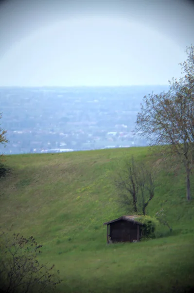 Wooden Shack Field Side Hill Rainy Day — Fotografia de Stock