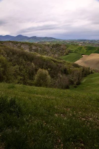 Поля Леса Холмах Дождливый День Итальянской Сельской Местности — стоковое фото