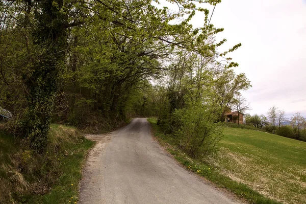 Road Crosses Wood Italian Countryside Rainy Day Spring — Stock fotografie