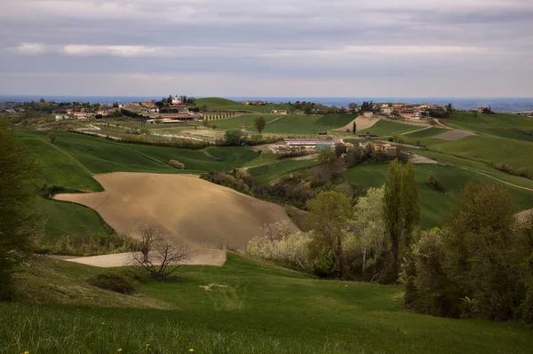 Felder Und Wälder Auf Hügelkämmen Einem Regnerischen Tag Der Italienischen — Stockfoto