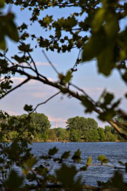 Bir ağacın yaprakları arasından görünen baca bacası.