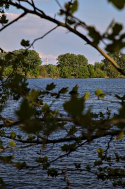 Bir ağacın yaprakları arasından görünen baca bacası.