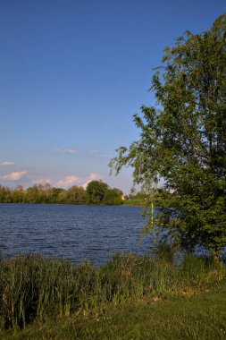 Baharda bir gölün kıyısında