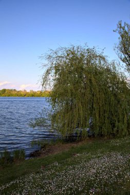 Baharda bir gölün kıyısında