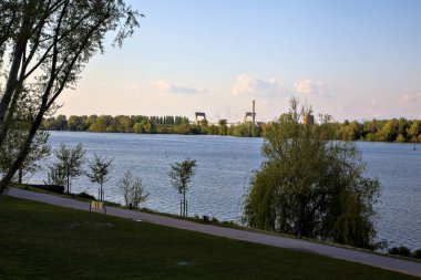 Baharın açık bir gününde, yol ve gölün kıyısında söğüt ağacı.