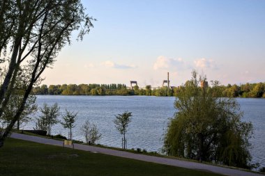 Baharın açık bir gününde, yol ve gölün kıyısında söğüt ağacı.