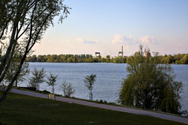 Baharın açık bir gününde, yol ve gölün kıyısında söğüt ağacı.