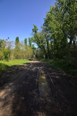 Baharda İtalya 'nın kenar mahallelerindeki bir parkta çamurlu bir patika.