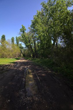 Baharda İtalya 'nın kenar mahallelerindeki bir parkta çamurlu bir patika.