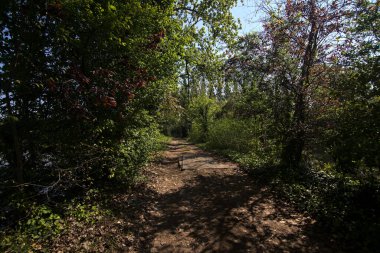Baharda İtalya 'nın kenar mahallelerindeki bir parkta çamurlu bir patika.