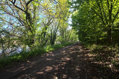 Baharda İtalya 'nın kenar mahallelerindeki bir parkta çamurlu bir patika.