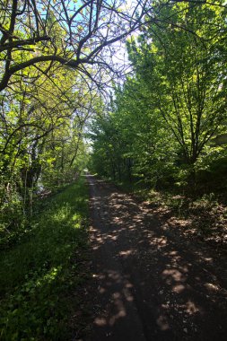 Baharda İtalya 'nın kenar mahallelerindeki bir parkta çamurlu bir patika.