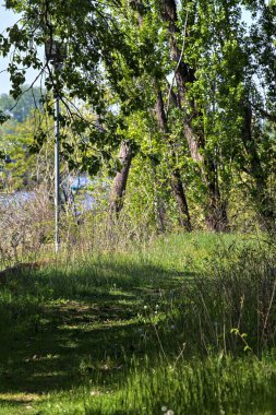 Baharda İtalya 'nın kenar mahallelerinde uzanan bir göl yolu.
