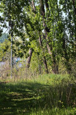 Baharda İtalya 'nın kenar mahallelerinde uzanan bir göl yolu.