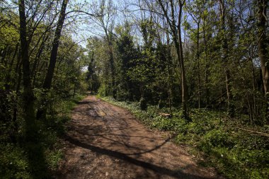 Baharda İtalya 'nın kenar mahallelerindeki bir parkta çamurlu bir patika.