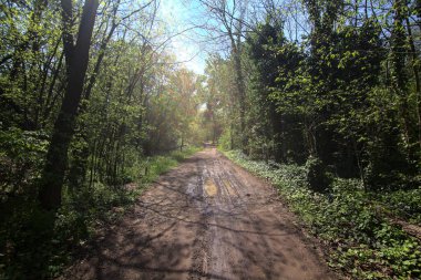 Baharda İtalya 'nın kenar mahallelerindeki bir parkta çamurlu bir patika.