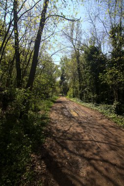 Baharda İtalya 'nın kenar mahallelerindeki bir parkta çamurlu bir patika.