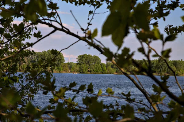 Smokestack Sett Utifrån Avståndet Genom Bladverket Ett Träd — Stockfoto