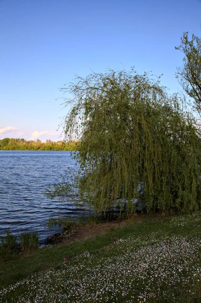 Riva Lago Primavera — Foto Stock