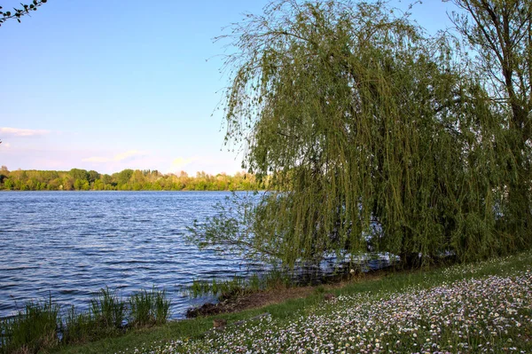 Costa Lago Primavera — Fotografia de Stock